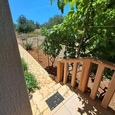 Secluded Fisherman's Krknata, Dugi Otok - 397 Holiday home Zman