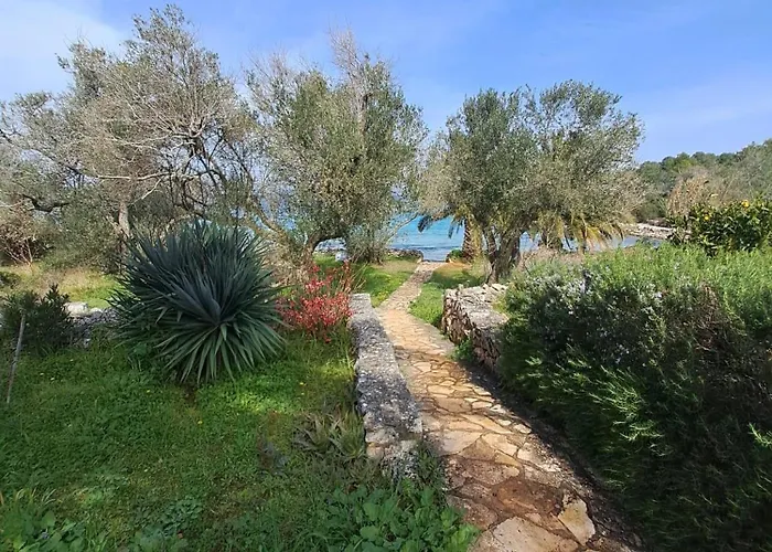 Secluded Fisherman's Krknata, Dugi Otok - 397 Žman