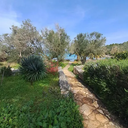 Secluded Fisherman's Krknata, Dugi Otok - 397 Žman