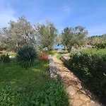 Secluded Fisherman's Krknata, Dugi Otok - 397 Žman