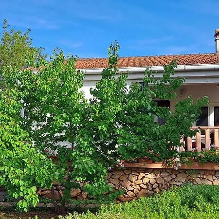 Secluded Fisherman's Krknata, Dugi Otok - 397 Prázdninový dům